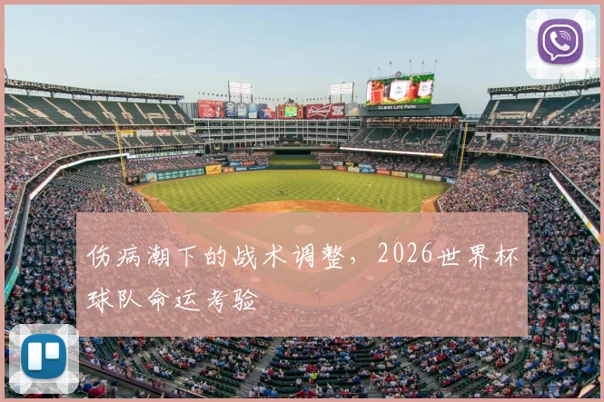 伤病潮下的战术调整,2026世界杯球队命运考验